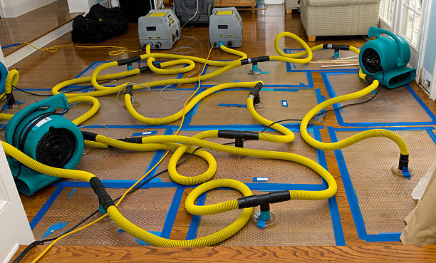 Professional Water Damage Repair technician working in Martinsville, OH